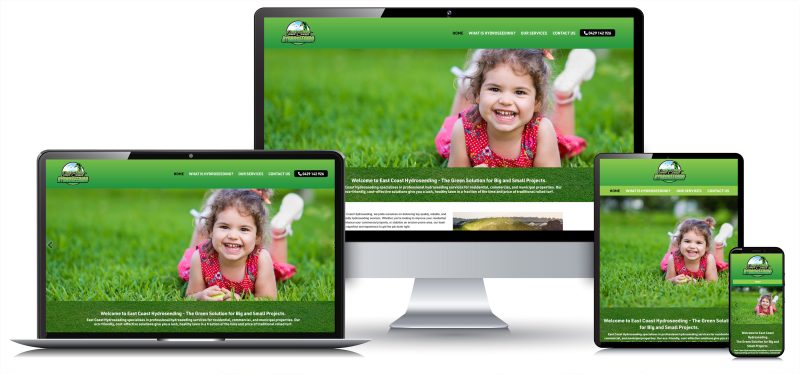 lawn-seeding-website-design-1